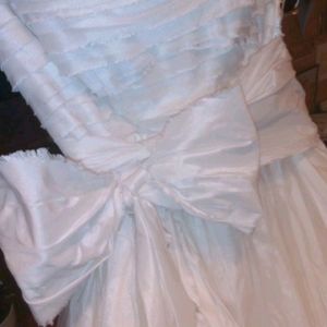 Vera Wang wedding dress and vail